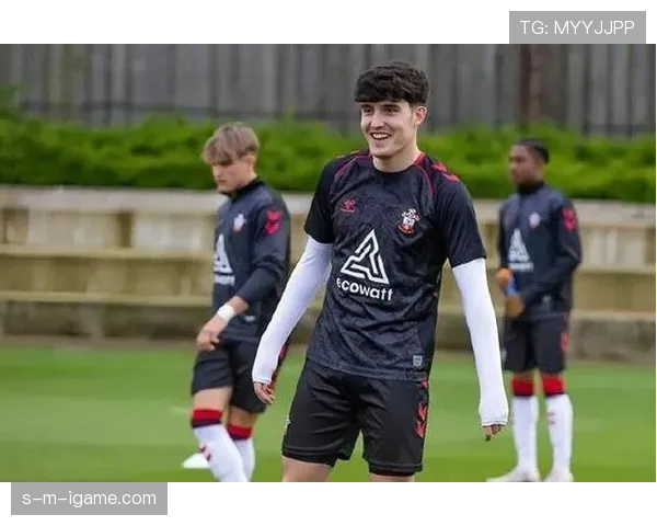 南安普顿重塑阵容结构,备战新赛季挑战 南安普顿重塑阵容结构,备战新赛季挑战