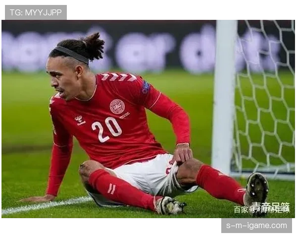 丹麦团队精神持续提升,近期勇夺国际赛事冠军展现强大竞争力。 丹麦团队精神持续提升,近期勇夺国际赛事冠军展现强大竞争力。