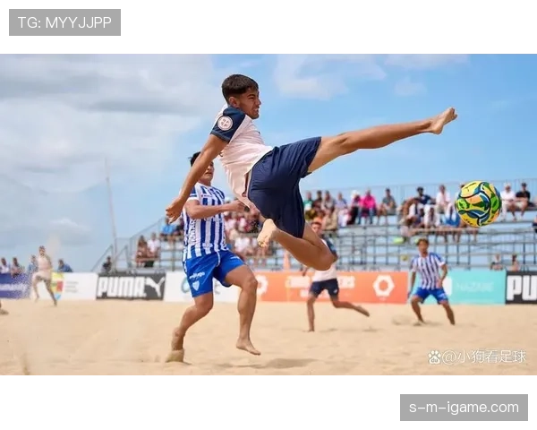 保加利亚主帅新计划逐步实施，球队备战状态稳健提升